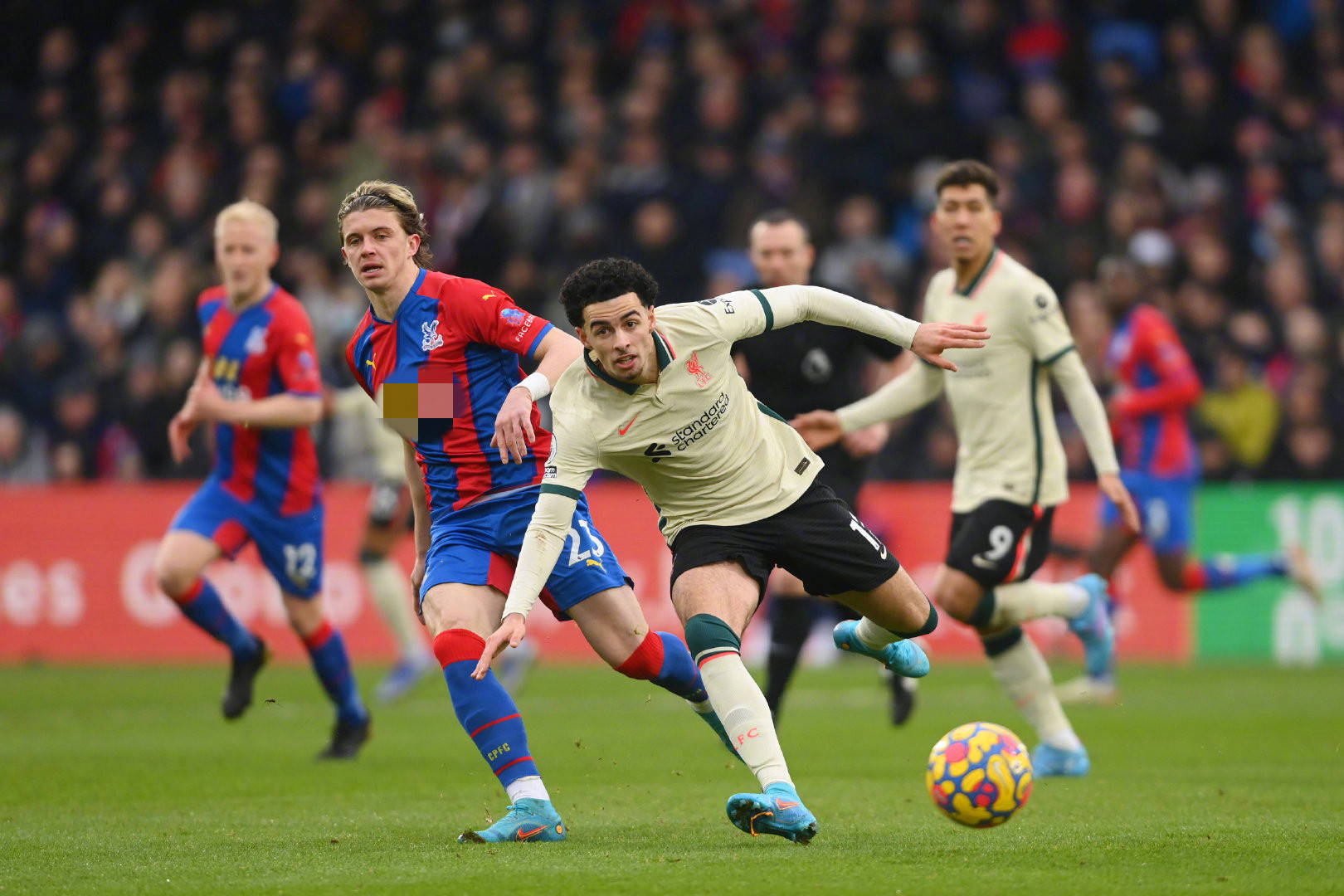 判断和尺度 判断和尺度