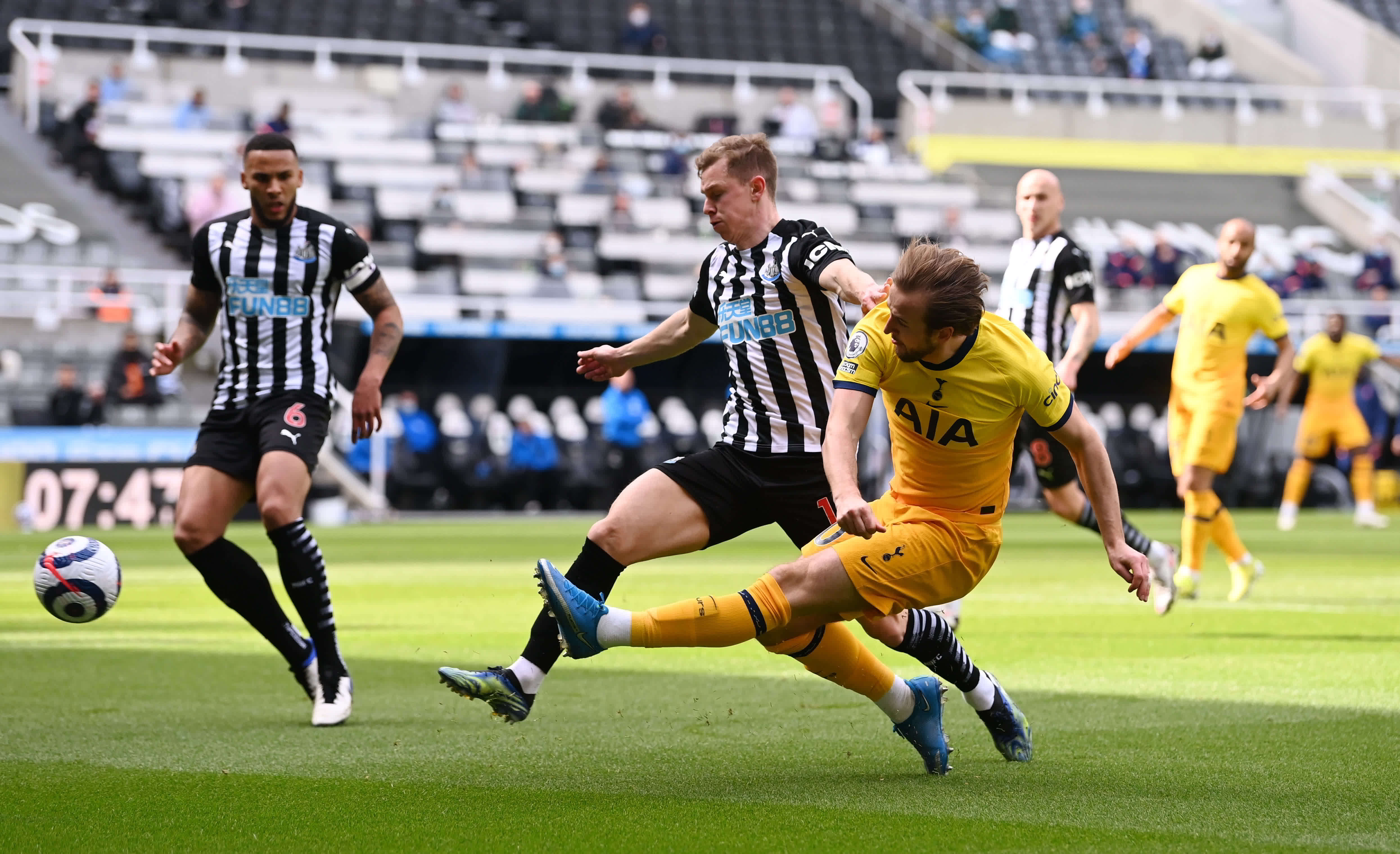 他们不仅拥 他们不仅拥